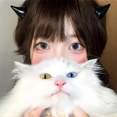 献给检察官的玫瑰花